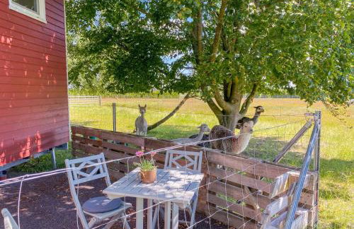 Tiny House auf der Alpaka Farm - Foto 4