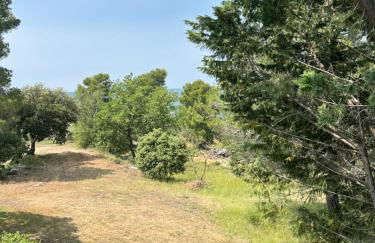 Le Grand Bouteillan - Foto 21