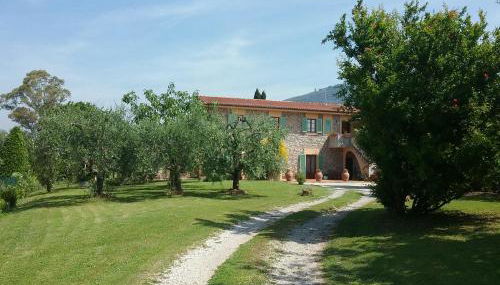 Locazione turistica La Ginestra - Foto 4, Garden