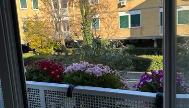 'Boh House' - Foto 4