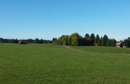 Herzberger Ferienwohnungen - Foto 23