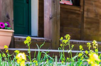 Kaszubski Dom Podcieniowy Bohema - Foto 35