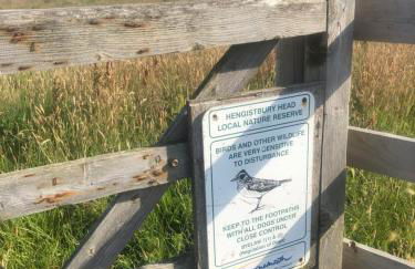 Villa Maria Southbourne - 2 Mins to Beach - Coastal - Dog-Friendly - Modern Luxury - Large Private Garden - Private Access - Parking - Foto 31