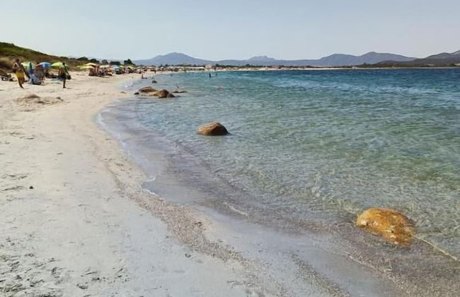 Studio's Pavese - Foto 74