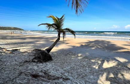 Chalé Manuela Sargi Serra Grande - Photo 18