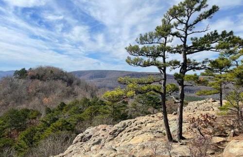 BRB - Cozy Bungalow at the Top of the Canyon - Foto 13