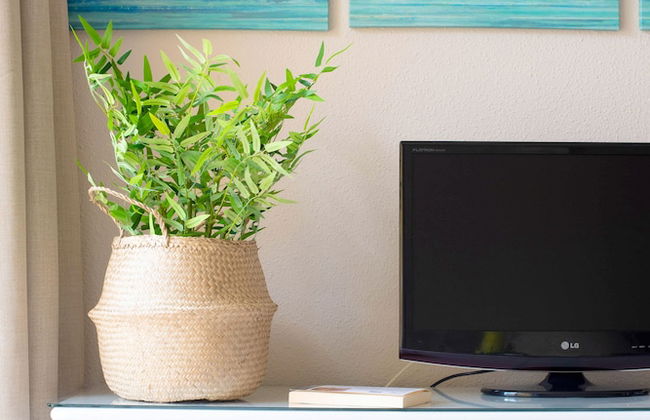 Apartamentos Punta Marina by LIVVO - Foto 7