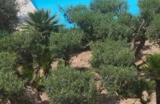 casa vacanza Rosariomaria - Foto 10