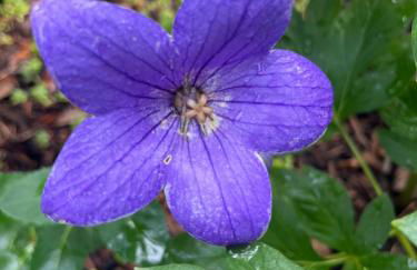 Waldtraum Wandlitzsee - Foto 50