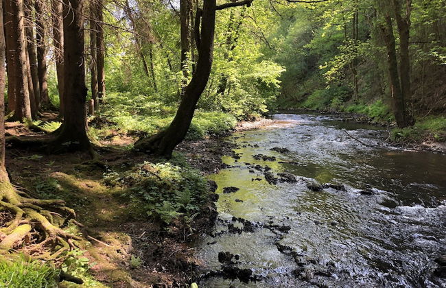 Ardennes Villa With Riverside Garden and Views - Photo 42