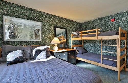 Okemo Condo - Foto 1