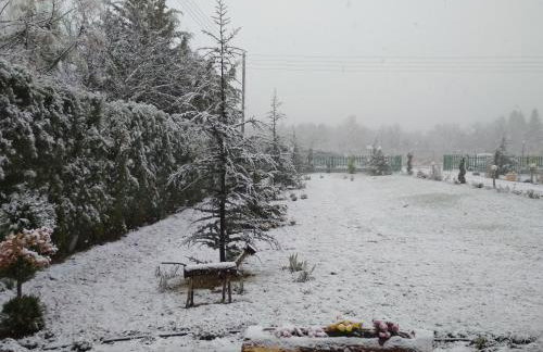 Kastor Chalets - Foto 35