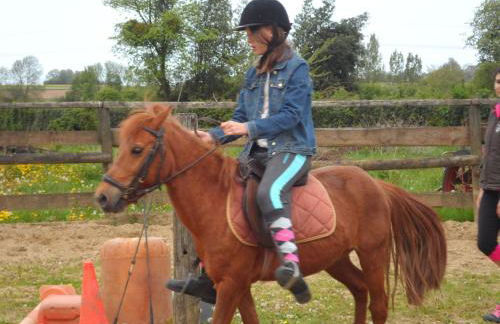 Gîte et Relais Equestre de Marie - Foto 28