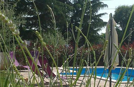 Villa Nina with Private pool near Poreč - Foto 26