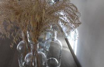 CHEZ ELLES EN PROVENCE - Photo 21