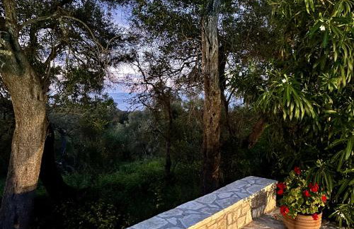 Villa Isabella in Paxi - Foto 90