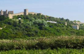 Quinta do Bom Vento - Photo 33