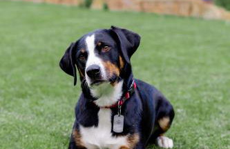 Ferienwohnung Sonnenschein - Foto 43