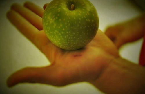 Agritur Leita - Foto 62