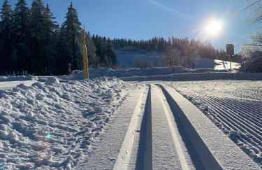 Rennsteig-Pension Trautwein - Foto 14