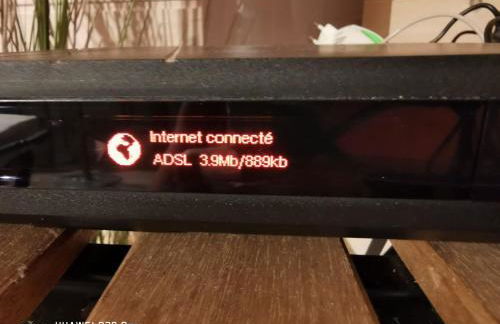 T1bis dans les dunes du Cap Ferret - Foto 9