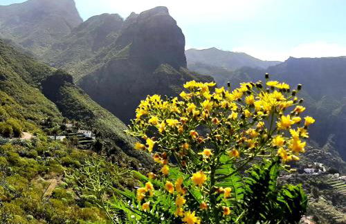 Villa ARTE - Foto 69