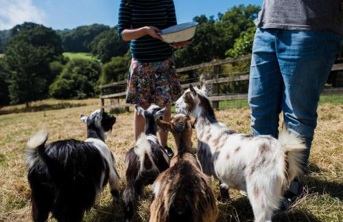 Hogchester Cottage - Photo 16