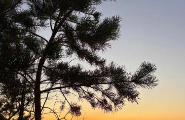 Shellter Bael Apartamenty - Foto 18