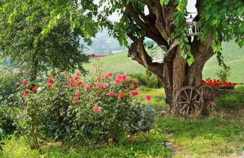 Agriturismo Albarossa - Foto 59