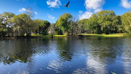 SPACIOUS Home in Tampa Area & Wesley Chapel - Foto 5