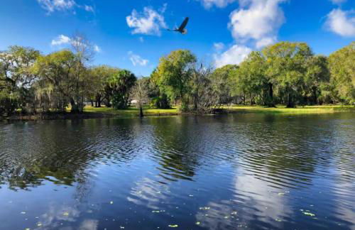 SPACIOUS Home in Tampa Area & Wesley Chapel - Foto 5