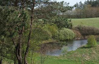 Domek Zielenina - Foto 25