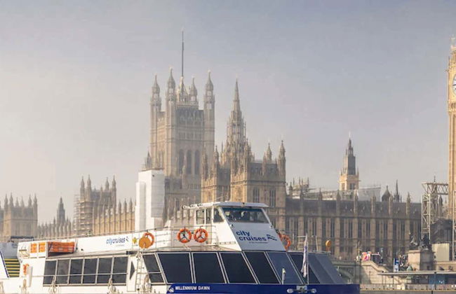 Battello turistico di Londra - Foto 3