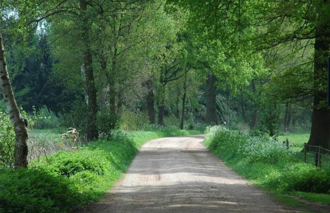 Cozy Countryside Getaway - Foto 37