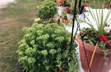 The Huron Hutch - Foto 8