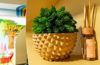 Studio Collors! Perfeito para sua família 19 - Foto 14