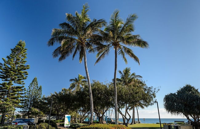 C Bargara Resort - Foto 57