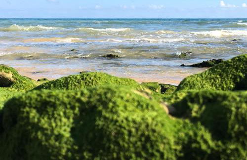 Luxurious T2 apartment, Olhos Dagua - Foto 34