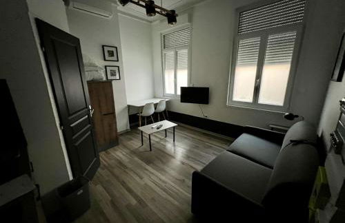 Amiens, le studio Cosy 2P - Foto 3