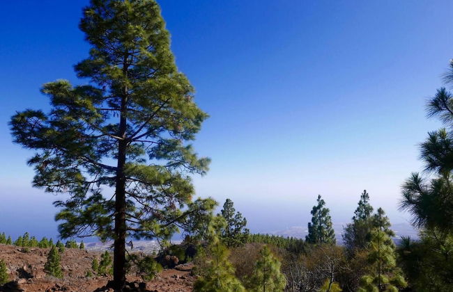 Unique Stargazing Escape With Ocean View - Foto 18