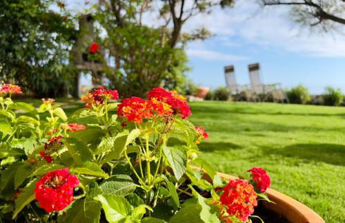 Seaside Villa with private garden - Foto 7