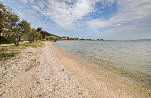 House Pansy - Foto 51