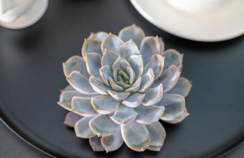 Uniklinik-Nähe Modernes Apartment, mit Balkon - Foto 9