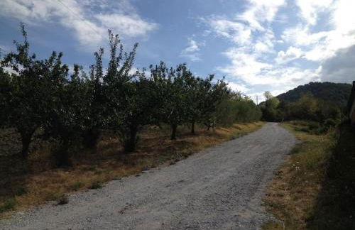 Casa Vitiolo - parte sinistra - Foto 21