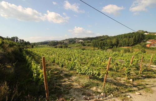 Quinta d'Areda Wine&Pool Experience - Foto 19