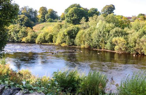 18 Thorngate Wynd - Photo 40