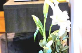 Wohnung im Zentrum von Göttingen - Foto 22