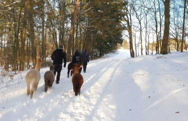Blockhaus am Edersee - Foto 29