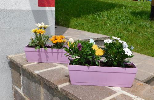 Ciasa Weiss - Foto 13