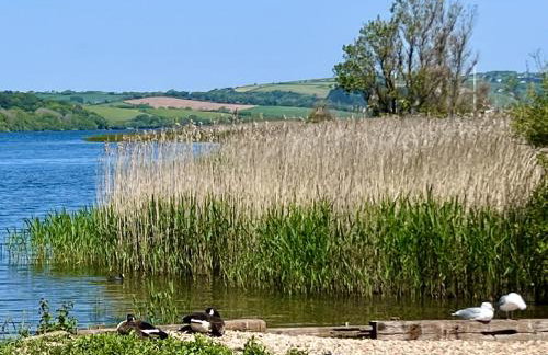 Beachfront Bliss, Sea Views, Parking, Dogs Welcome - Foto 31